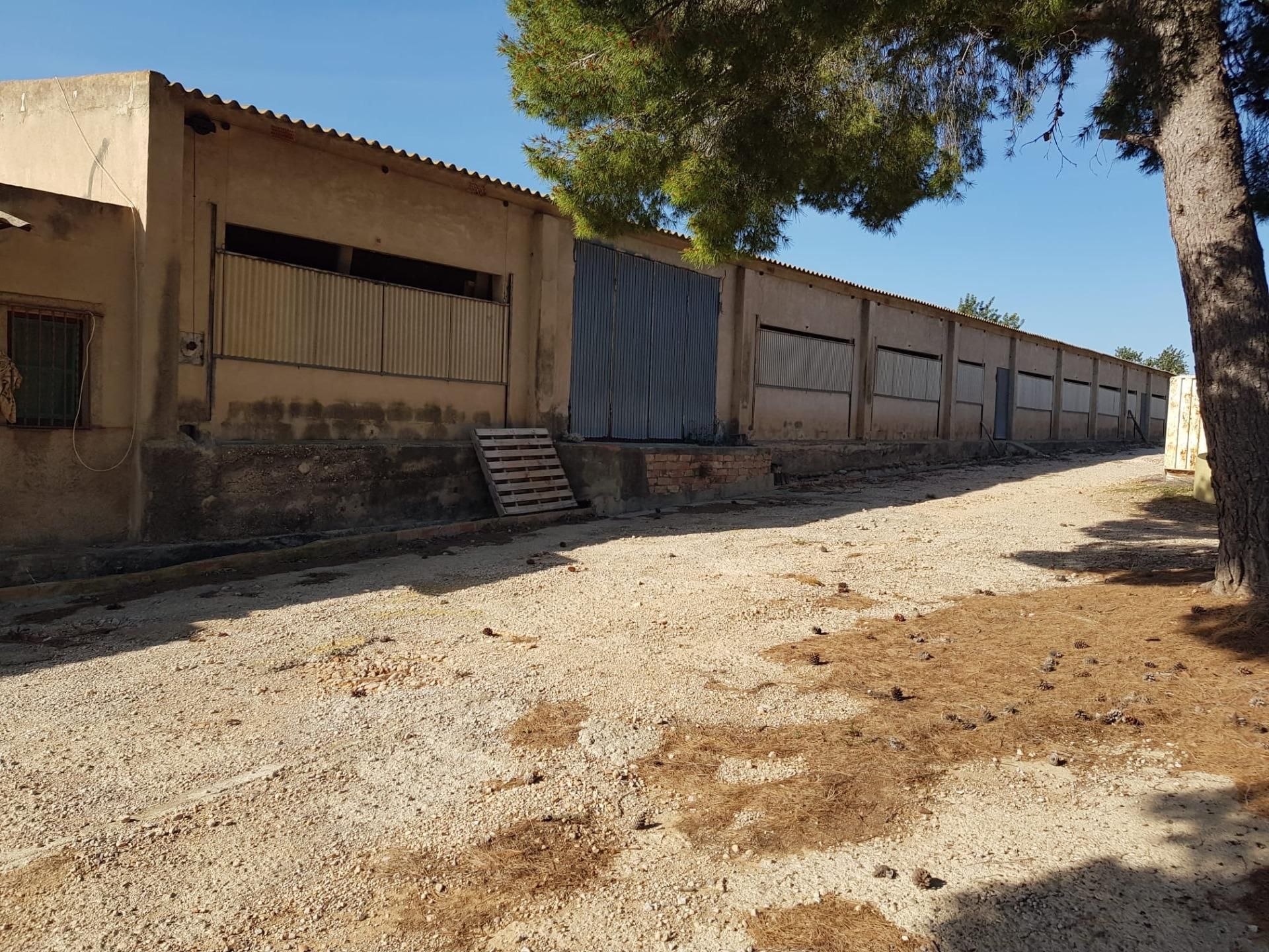 Exterior view of Industrial buildings to rent in Sant Carles de la Ràpita