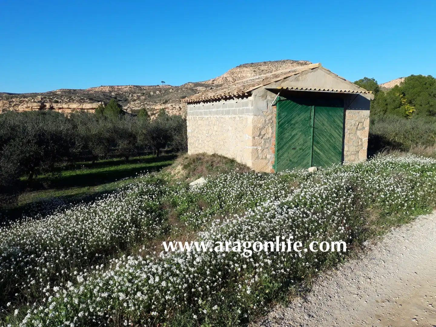 Casa rústica en venda a Caspe, imagen 5
