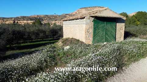Foto 5 de Finca rústica en venta en Caspe, Zaragoza