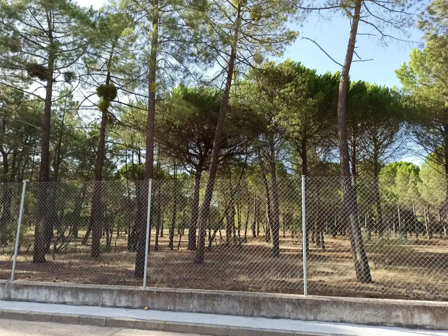 Grundstücke zum Verkauf in Mojados, Valladolid