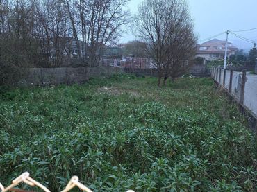 Terrenos y solares en venta en BALEA
