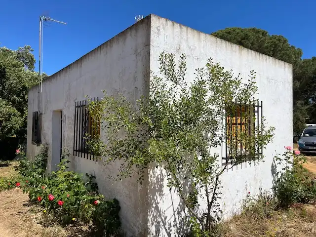 Vista exterior de Finca rústica en venta en Vejer de la Frontera