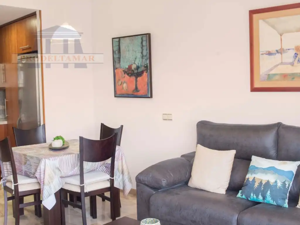 Sala d'estar de Apartament en venda en L'Ampolla amb Balcó