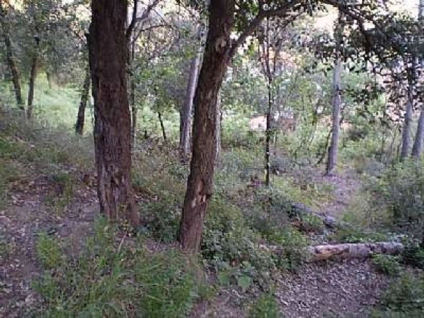 Wohnbaugrundstück zum Verkauf in Cervelló, imagen 9