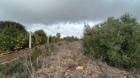 Foto 3 de Residencial en venda a Pòrtol, Marratxí