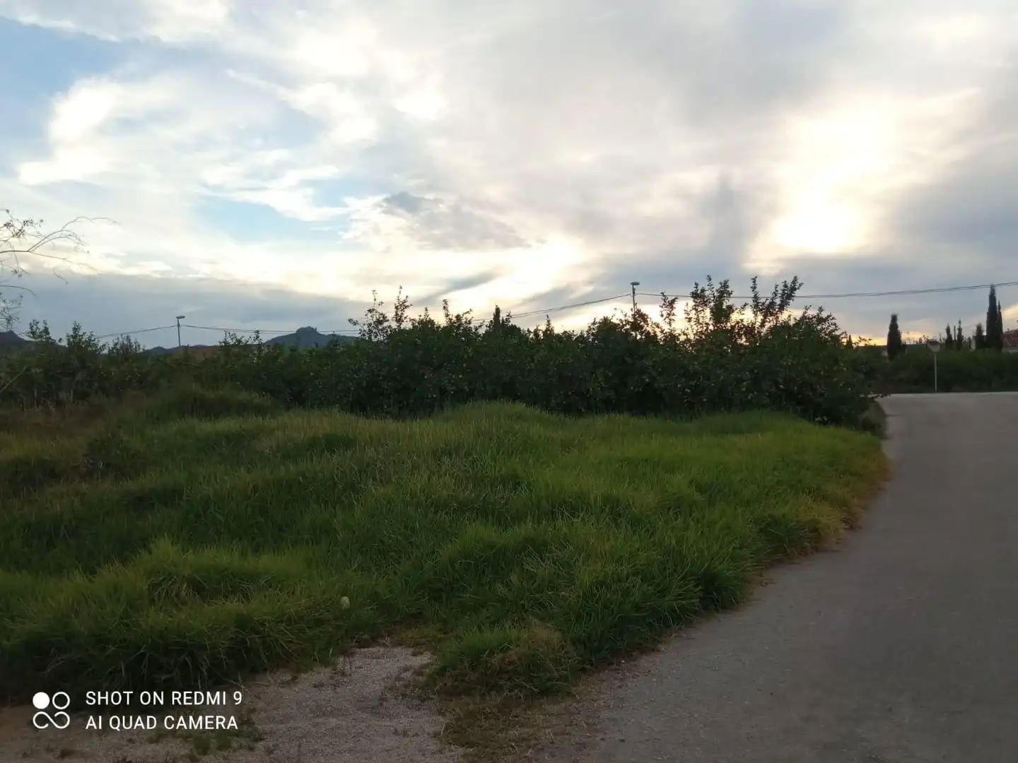 Terreny rústic en venda a Pedanías Este, imagen 3