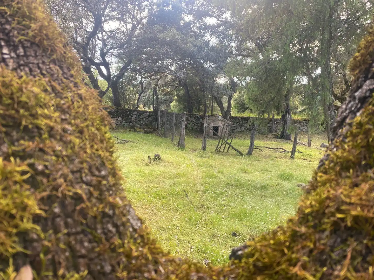 Finca rústica en venta en El Real de San Vicente con Aire acondicionado, Calefacción y Terraza