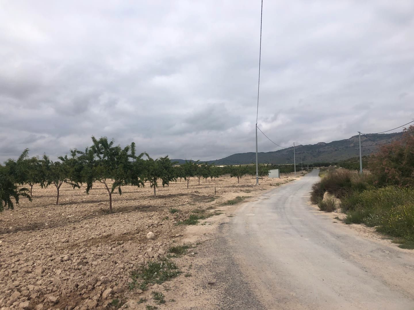 Land for sale in Mula