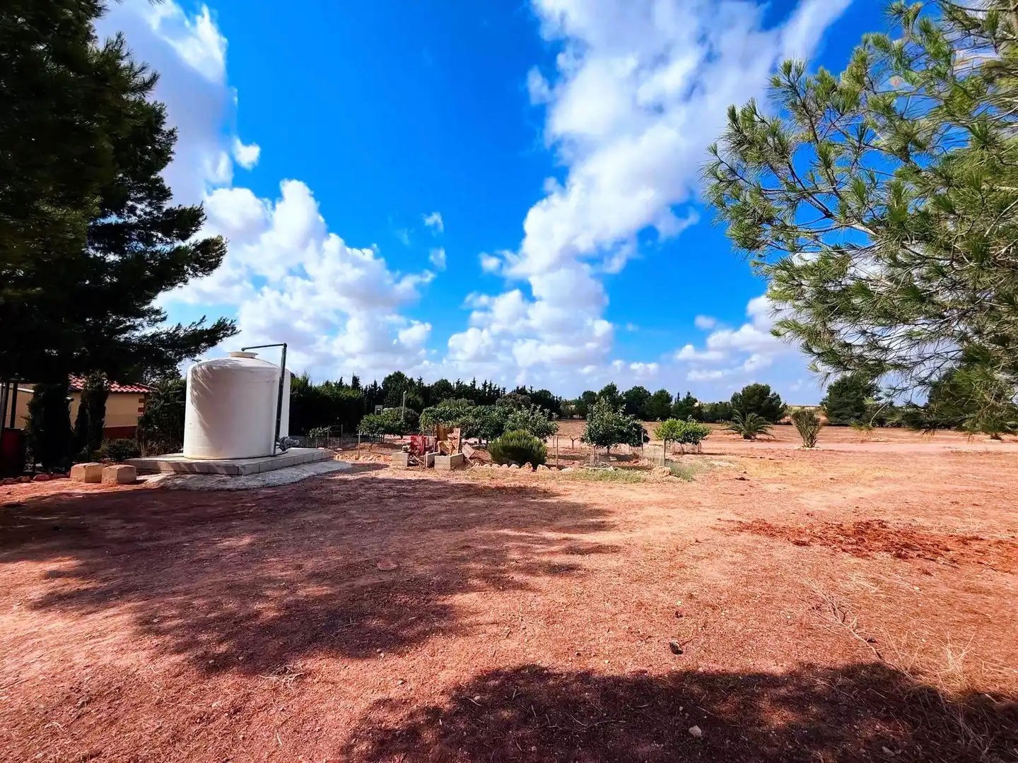 Finca rústica en venda en Murcia amb Piscina
