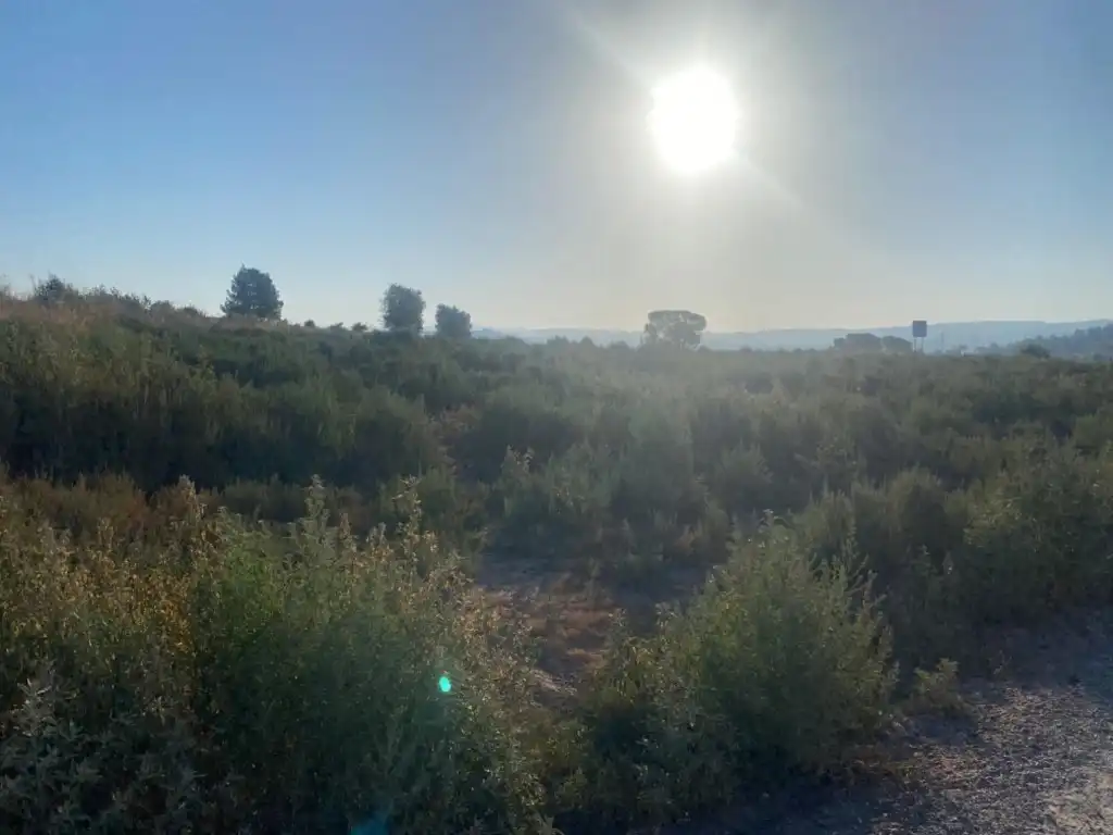 Terreny residencial en venda a Sant Fruitós de Bages, imagen 19