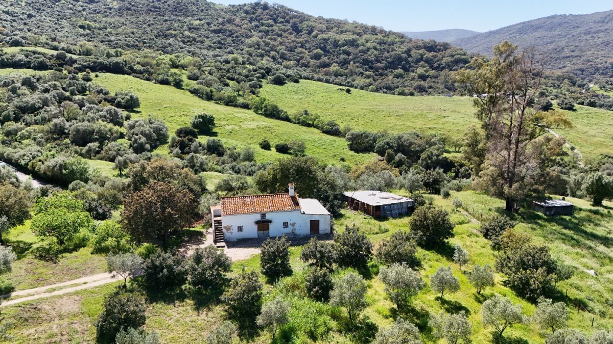 Vista exterior de Finca rústica en venta en Gaucín
