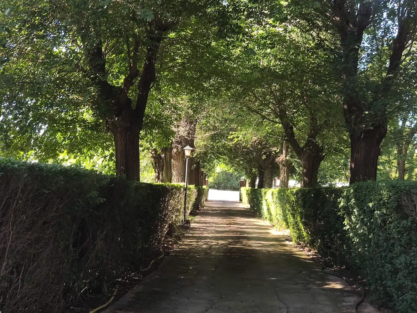 Vista exterior de Casa o xalet en venda en Ciudad Real amb Aire condicionat, Calefacció i Jardí privat