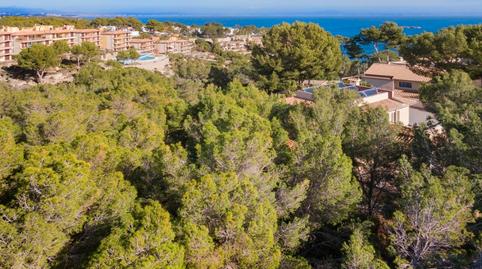 Photo 4 of Land for sale in Sol de Mallorca, Illes Balears