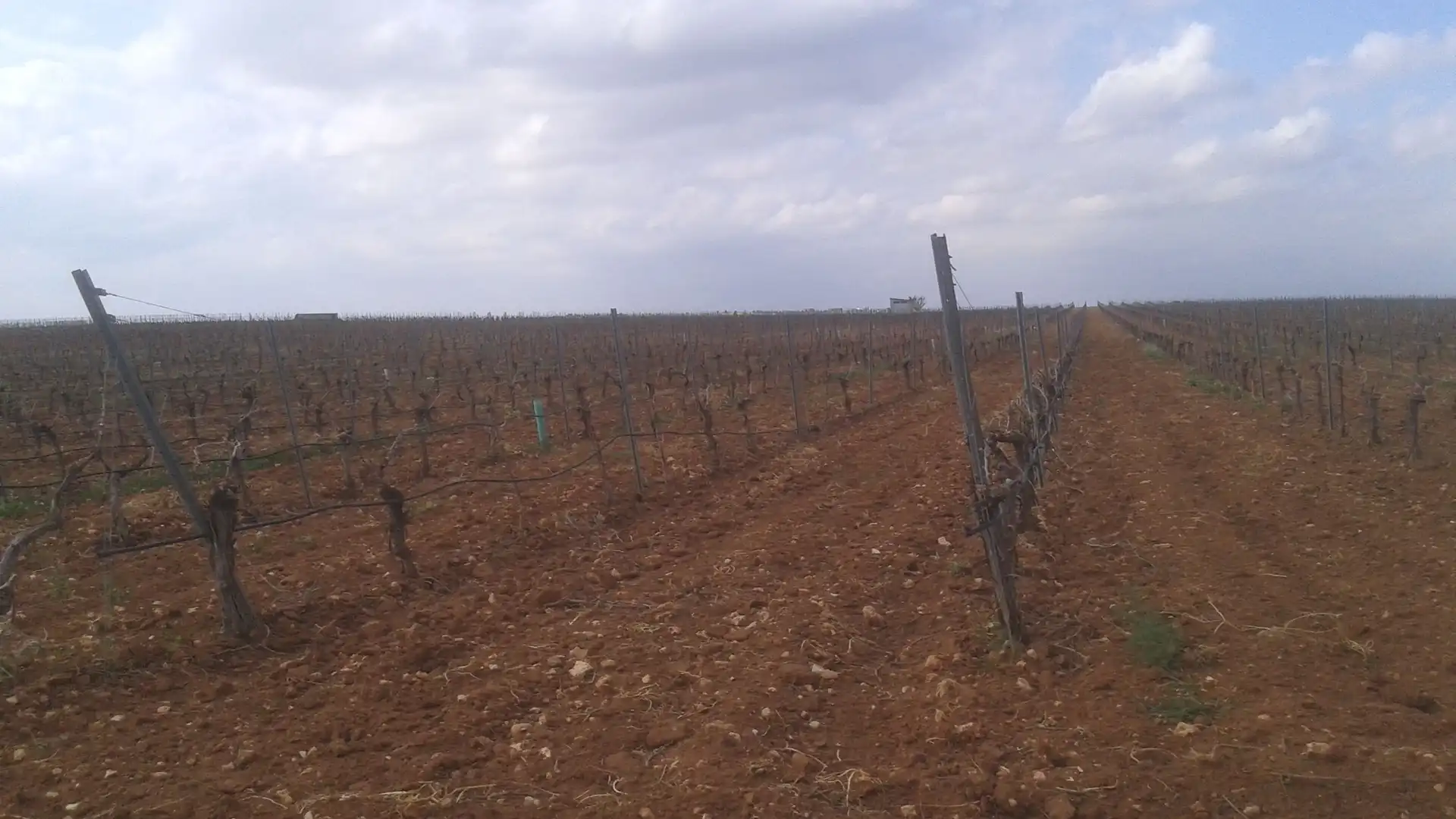 Terrenys i solars en venda a Las Mesas, imagen 7
