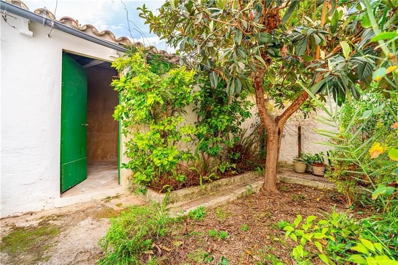 Garden of House or chalet for sale in  Palma de Mallorca  with Private garden, Terrace and Balcony