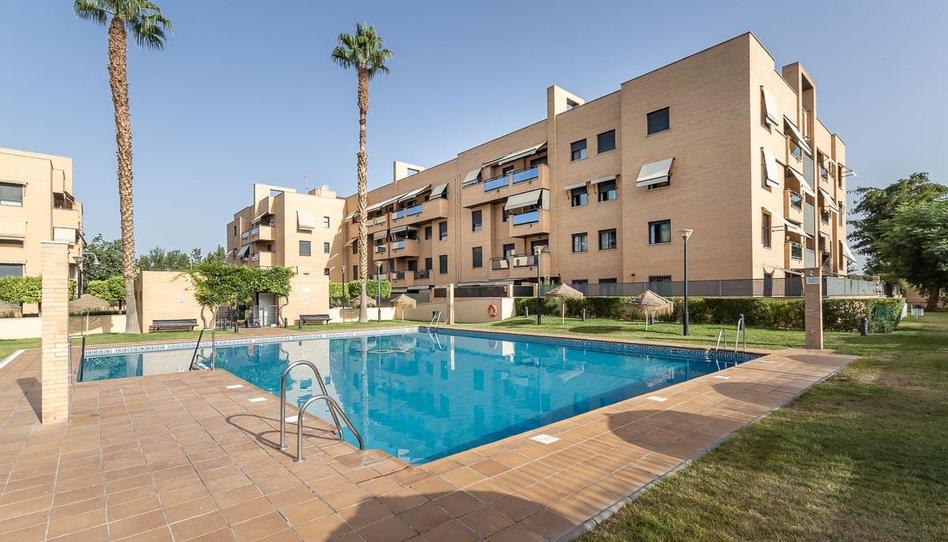 Foto 1 de Piso en venta en Angustias - Chana - Encina, Granada