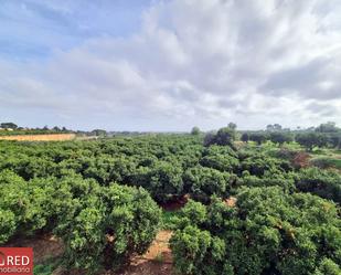 Finca rústica en venda en Picassent amb Jardí privat, Terrassa i Piscina