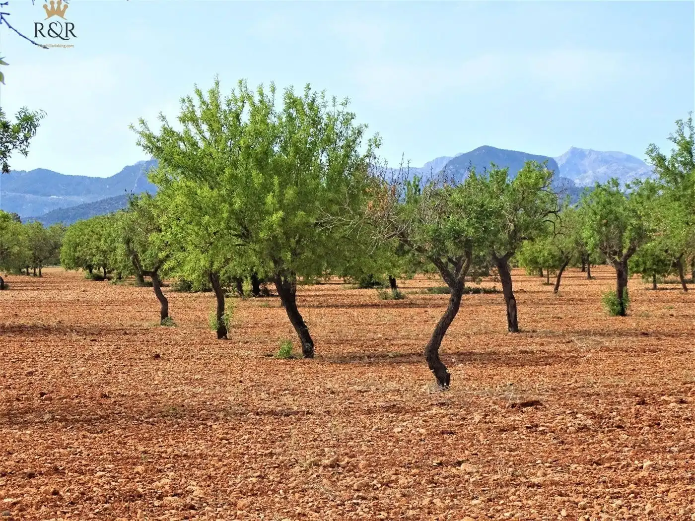 Exterior view of Land for sale in Binissalem