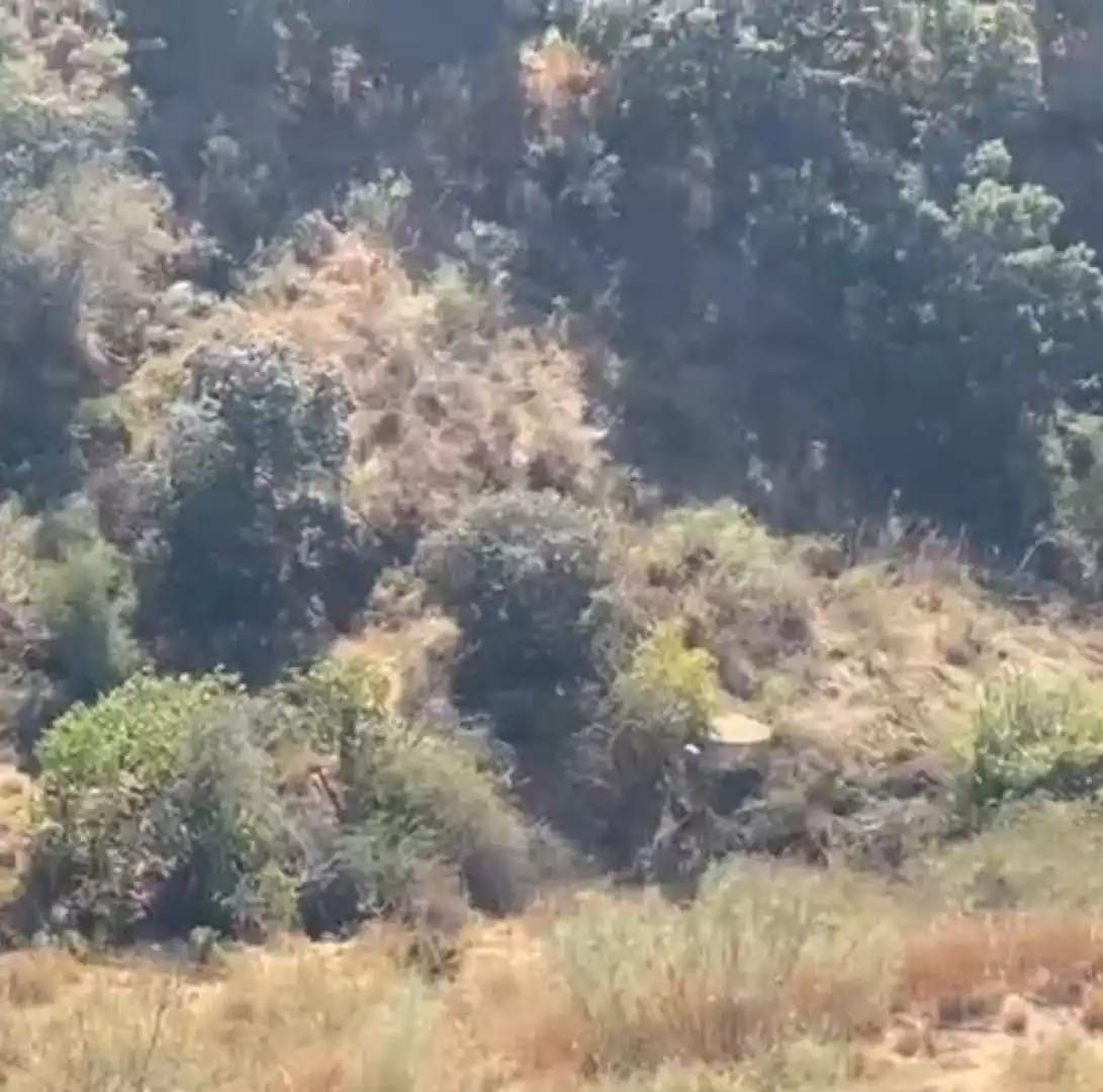 Rural land for sale in Cártama pueblo, imagen 11