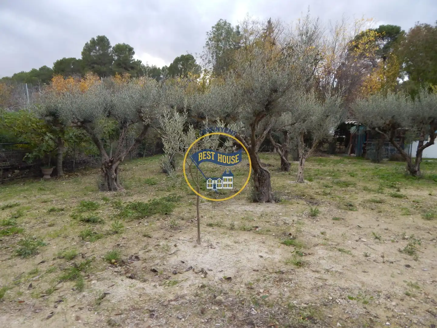 Villa avec jardin à vendre à Sant Josep - Zona Hospital, imagen 34