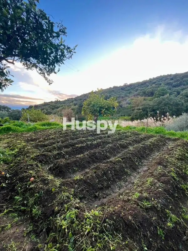 Casa rústica con terraza en venta en Diseminado Diseminados, imagen 20
