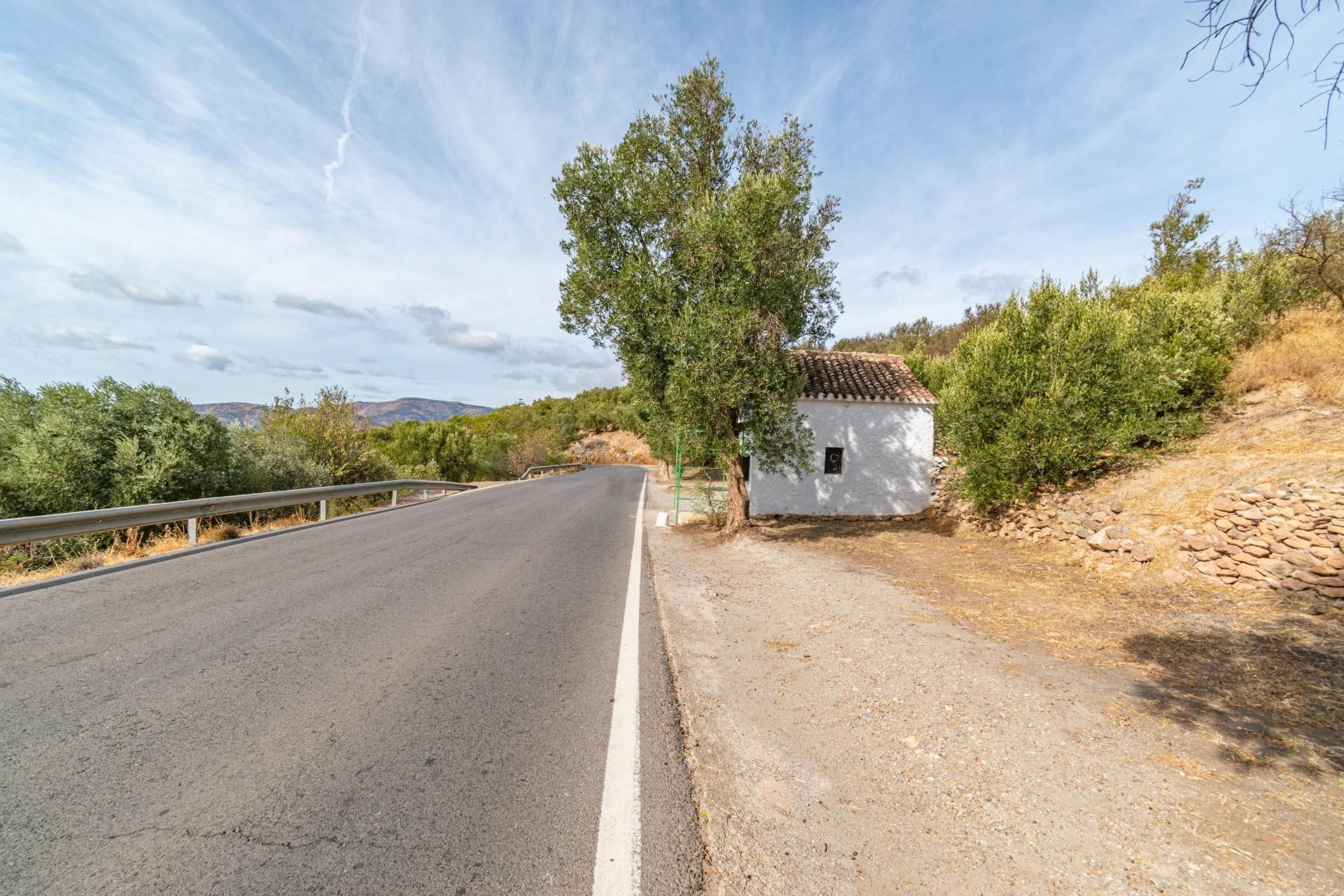 Exterior view of Country house for sale in Órgiva