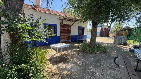Foto 3 de Finca rústica en venta en De la Ginesa, Valdepeñas, Ciudad Real