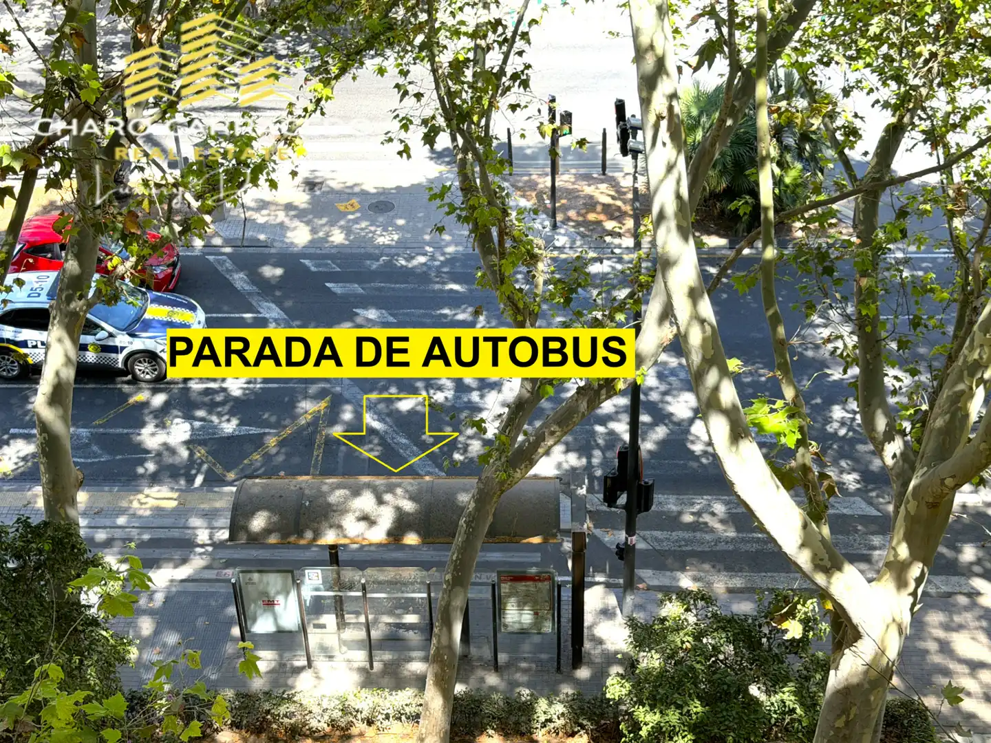 Pis amb terrassa en venda a Avinguda del Primat Reig, imagen 33