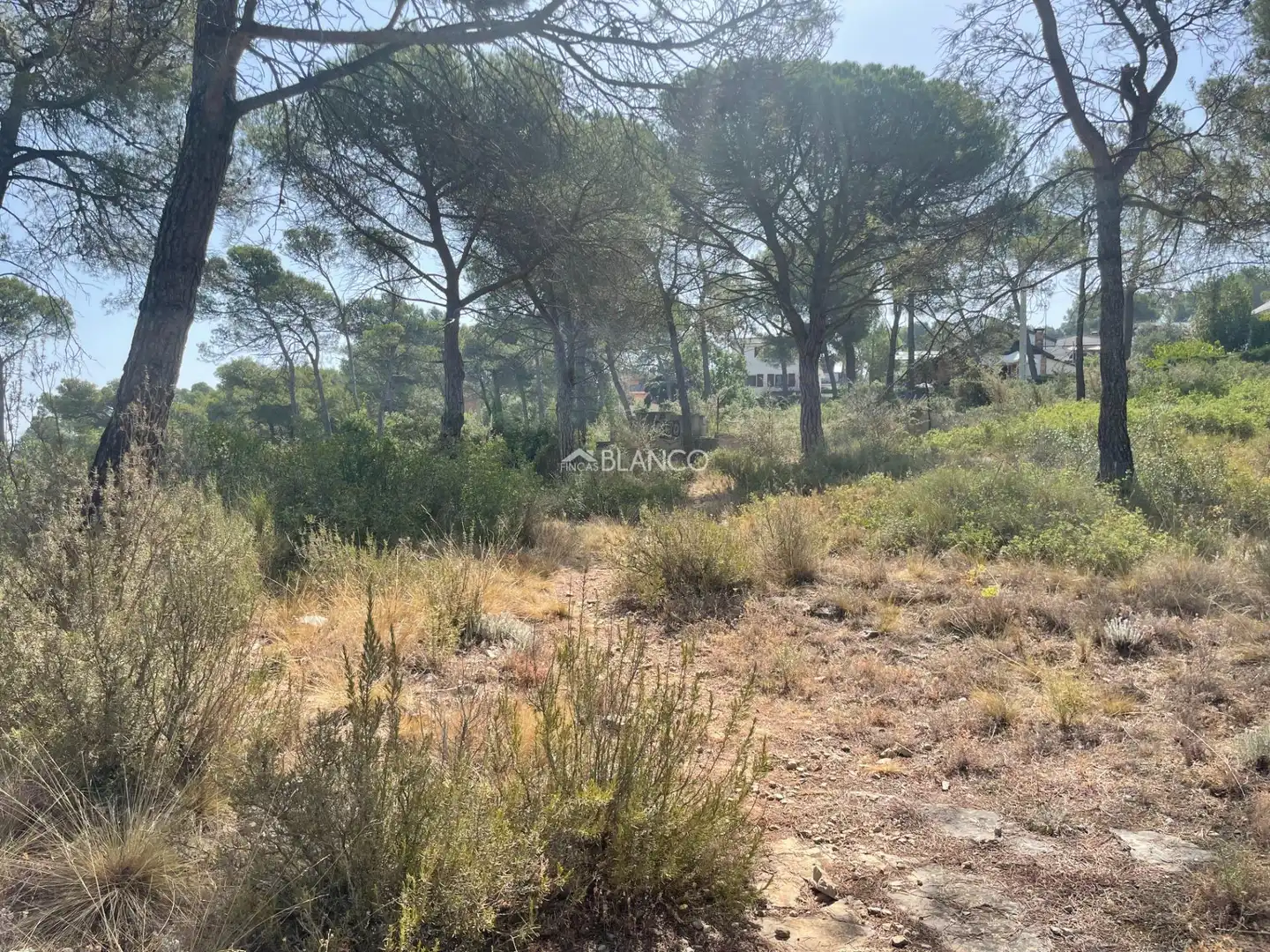 Terreny residencial en venda a Mediona, imagen 2