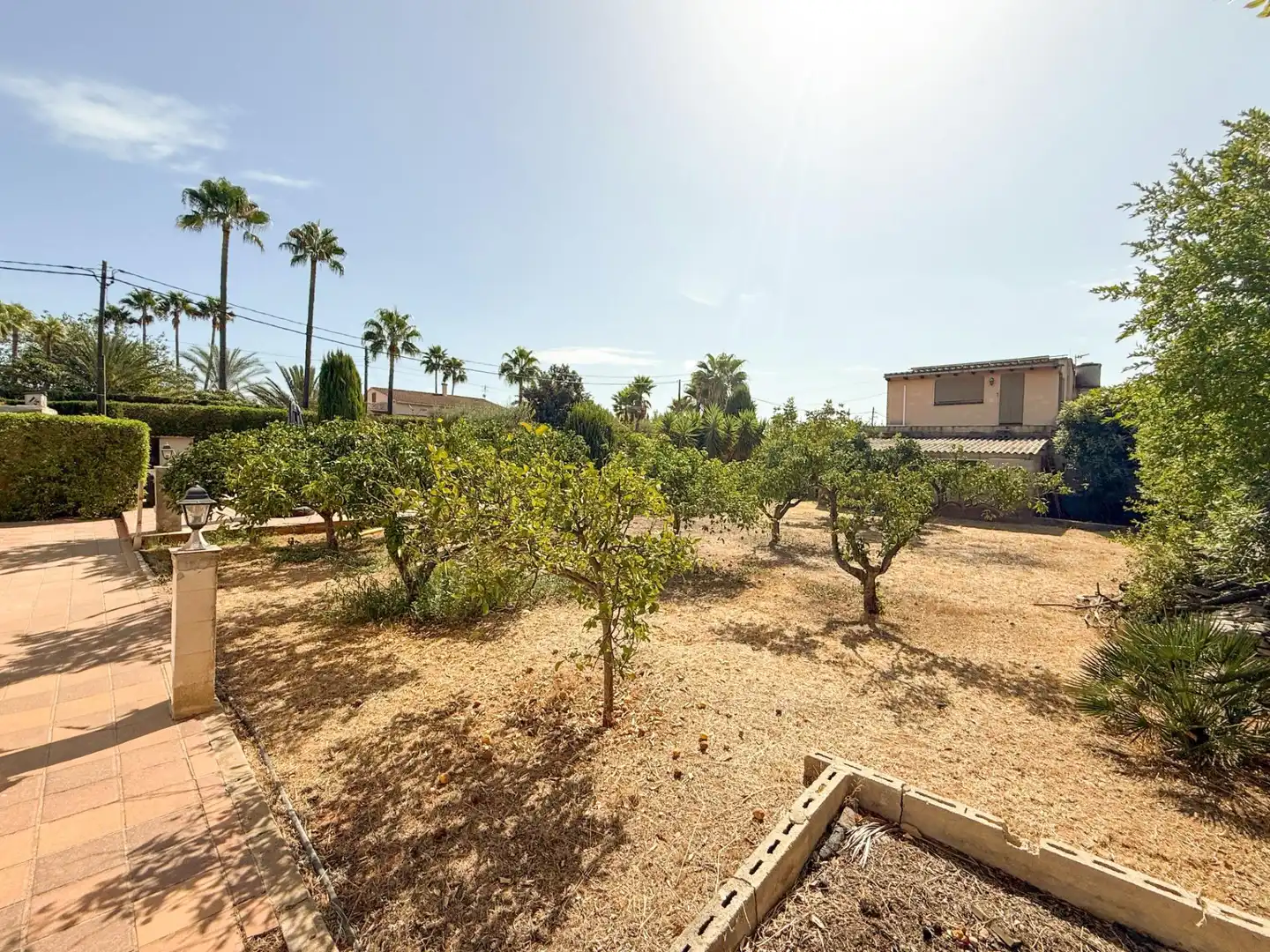 Detached house with terrace for sale in Zona Periurbana, imagen 26
