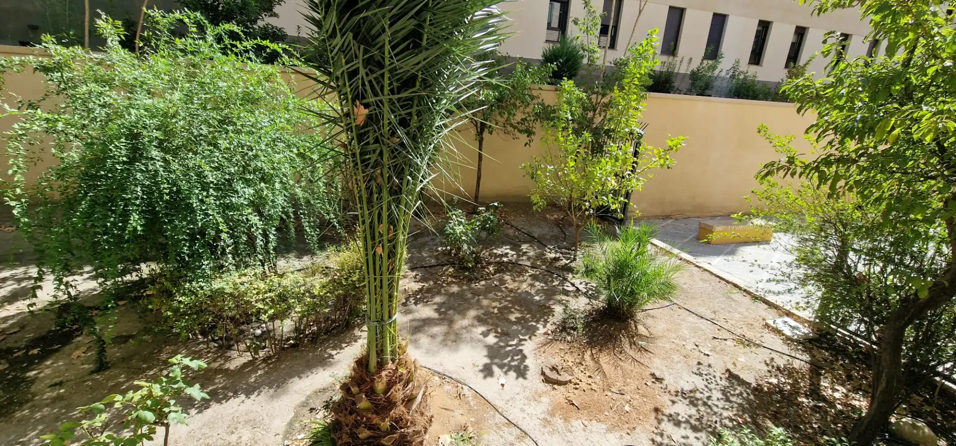 Piso con ascensor en venta en Beiro, imagen 30
