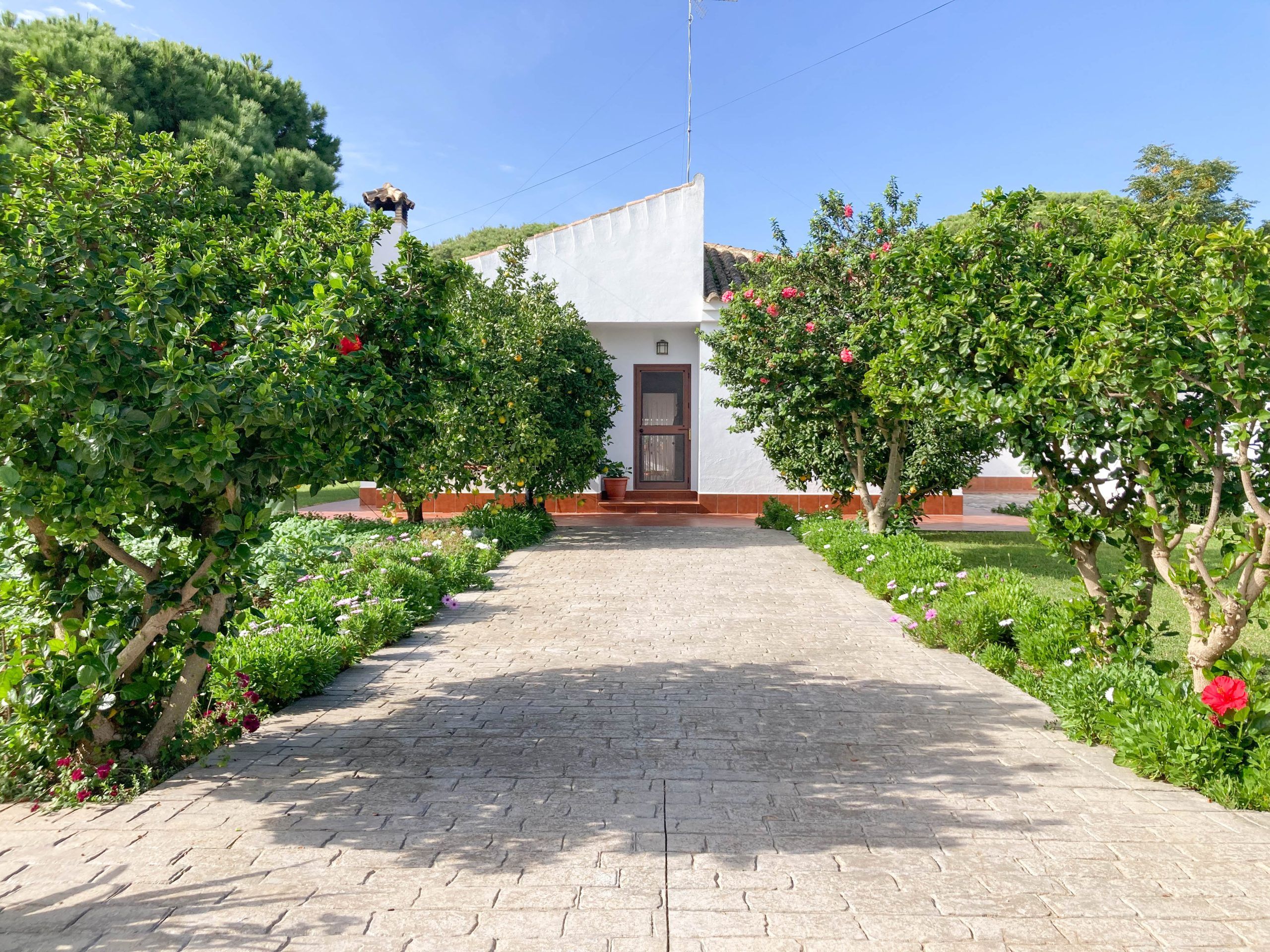 Country house for sale in Las Lagunas - Campano