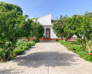 Country house for sale in Las Lagunas - Campano