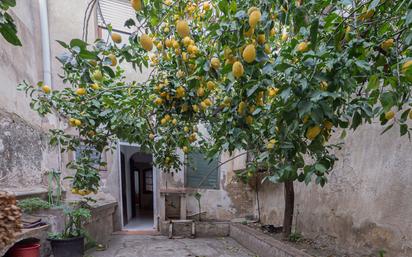 Jardí de Casa o xalet en venda en Torroella de Montgrí