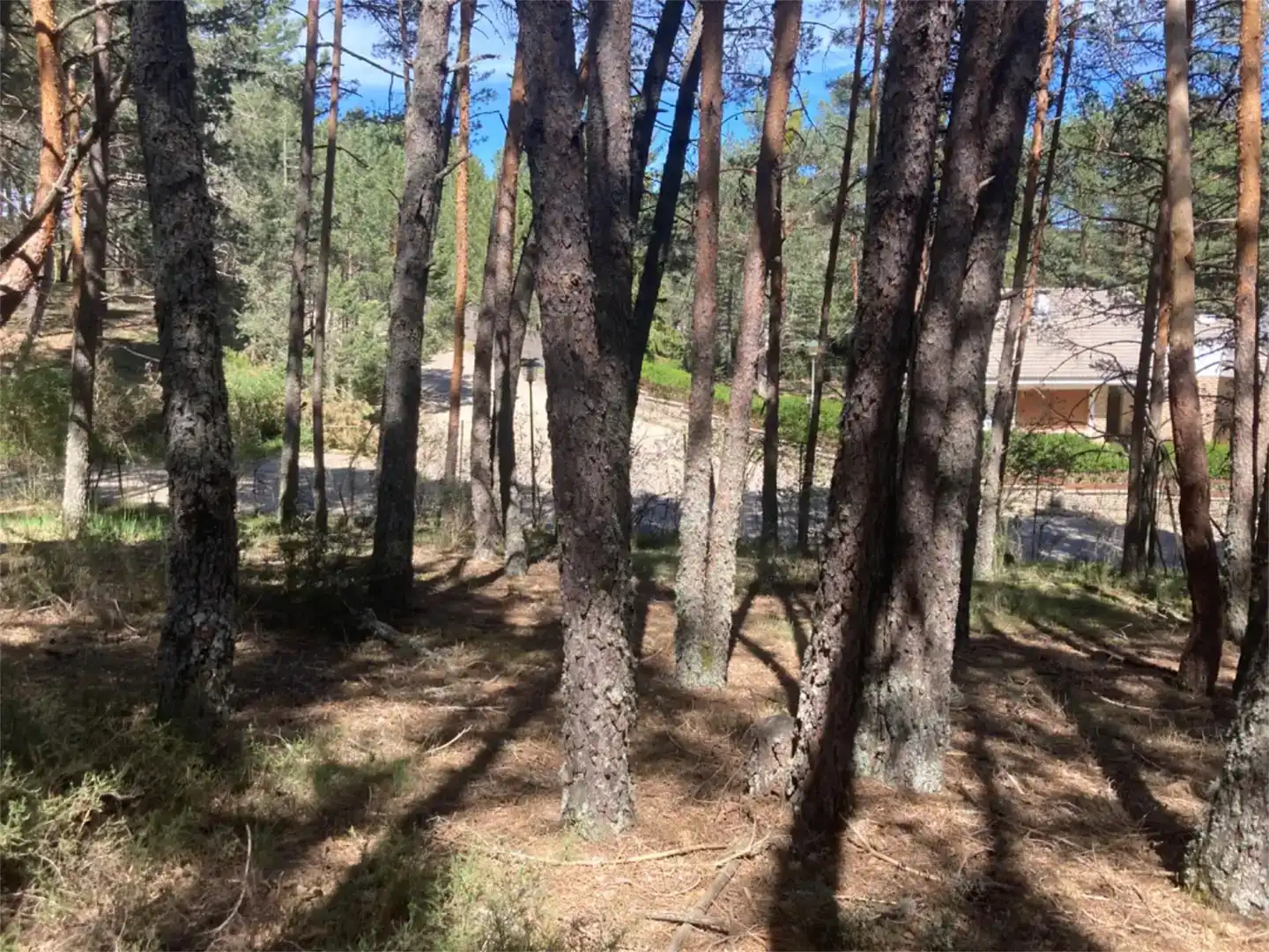 Terreno en venta en Navaleno, Soria