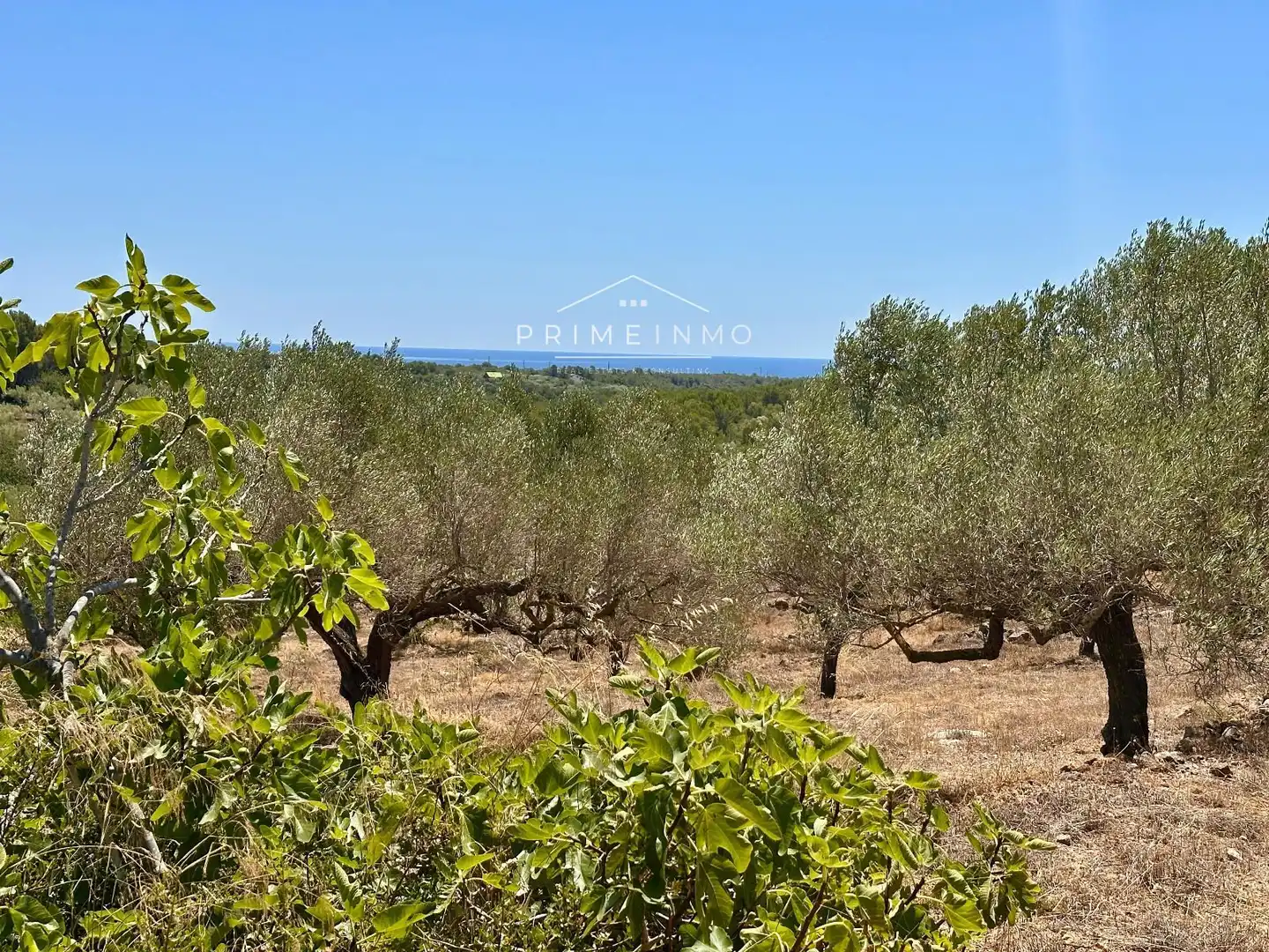 Finca rústica en venta en L'Ametlla de Mar 