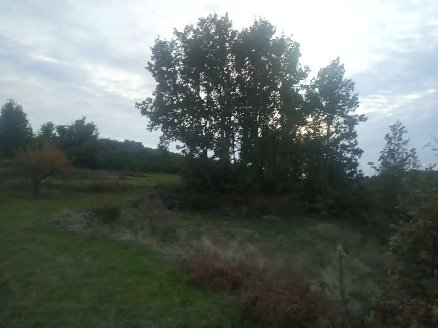 Terreni e lotti in vendita a Jarandilla de la Vera, imagen 4