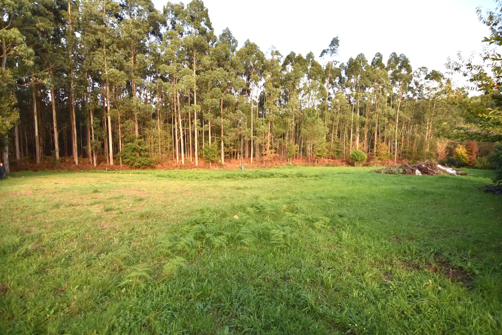 Houses for sale in Narón  with Heating, Private garden and Storage room