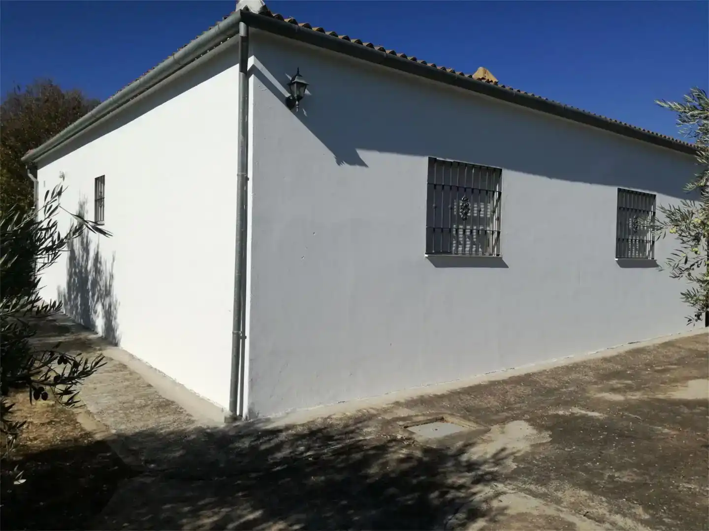 Vista exterior de Casa o chalet en venta en Montilla con Jardín privado, Trastero y Piscina