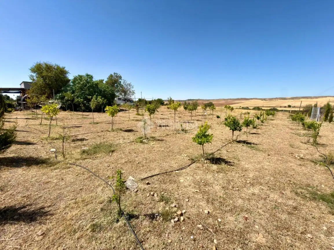 Terreny rústic en venda a Valdeavero, imagen 50