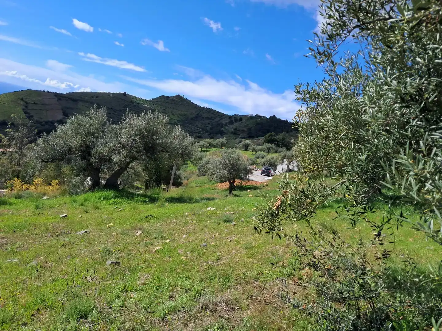 Finca rústica en venda en Almuñécar amb Traster, Moblat i Forn