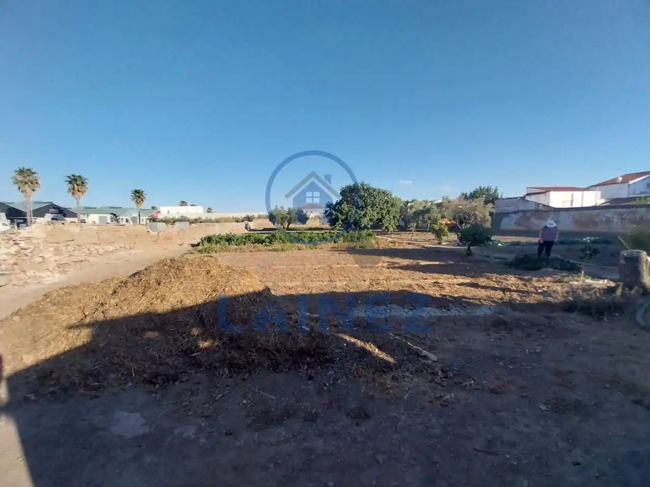 Lands and plots for sale in Belmez, imagen 18