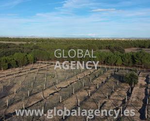 Land for sale in  Albacete Capital