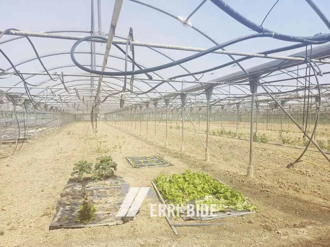 Jardín de Terreno en venta en Gamiz-Fika