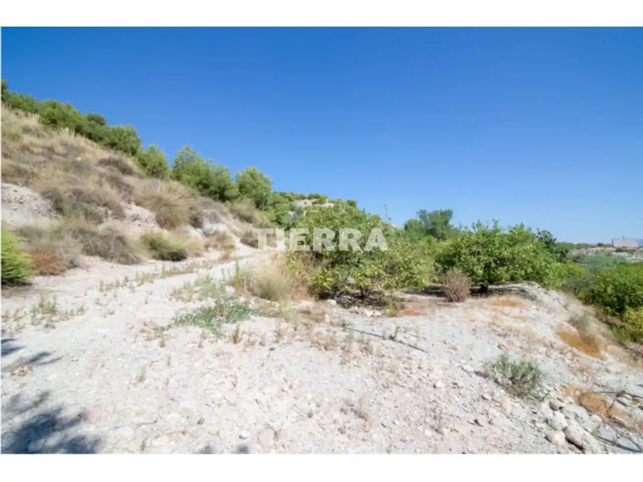Lands and plots for sale in Poligono El Semolilla, imagen 11