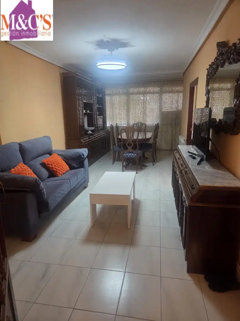 Living room of Flat for sale in PAU 2-600