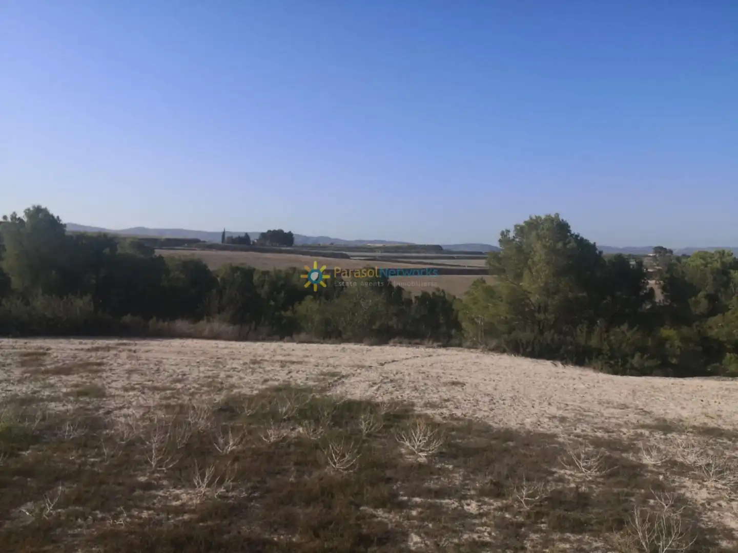 Finca rústica en venda en Albaida amb Jardí privat i Traster