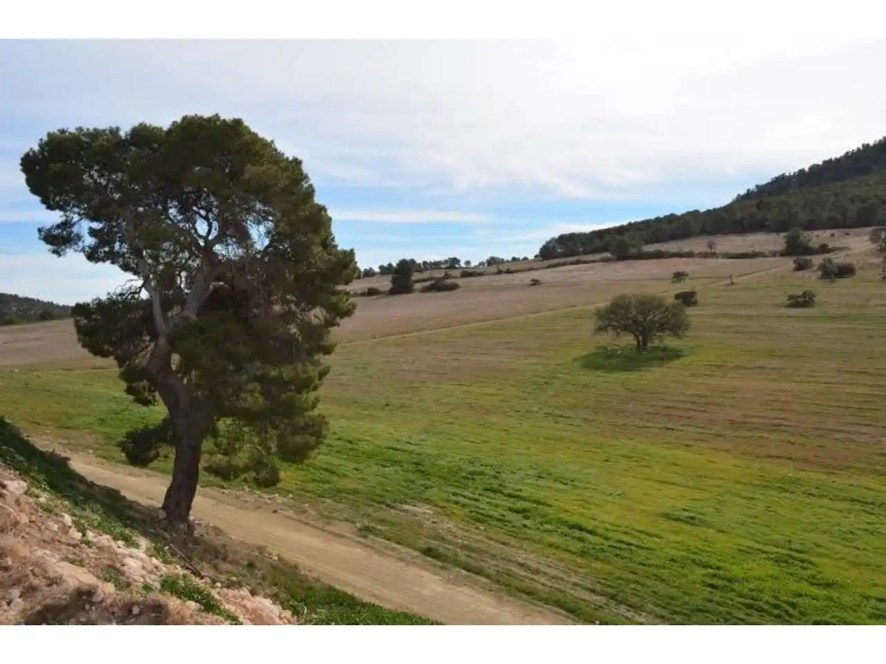 Terrains et parcelles à vendre à Pedanías Norte, imagen 31