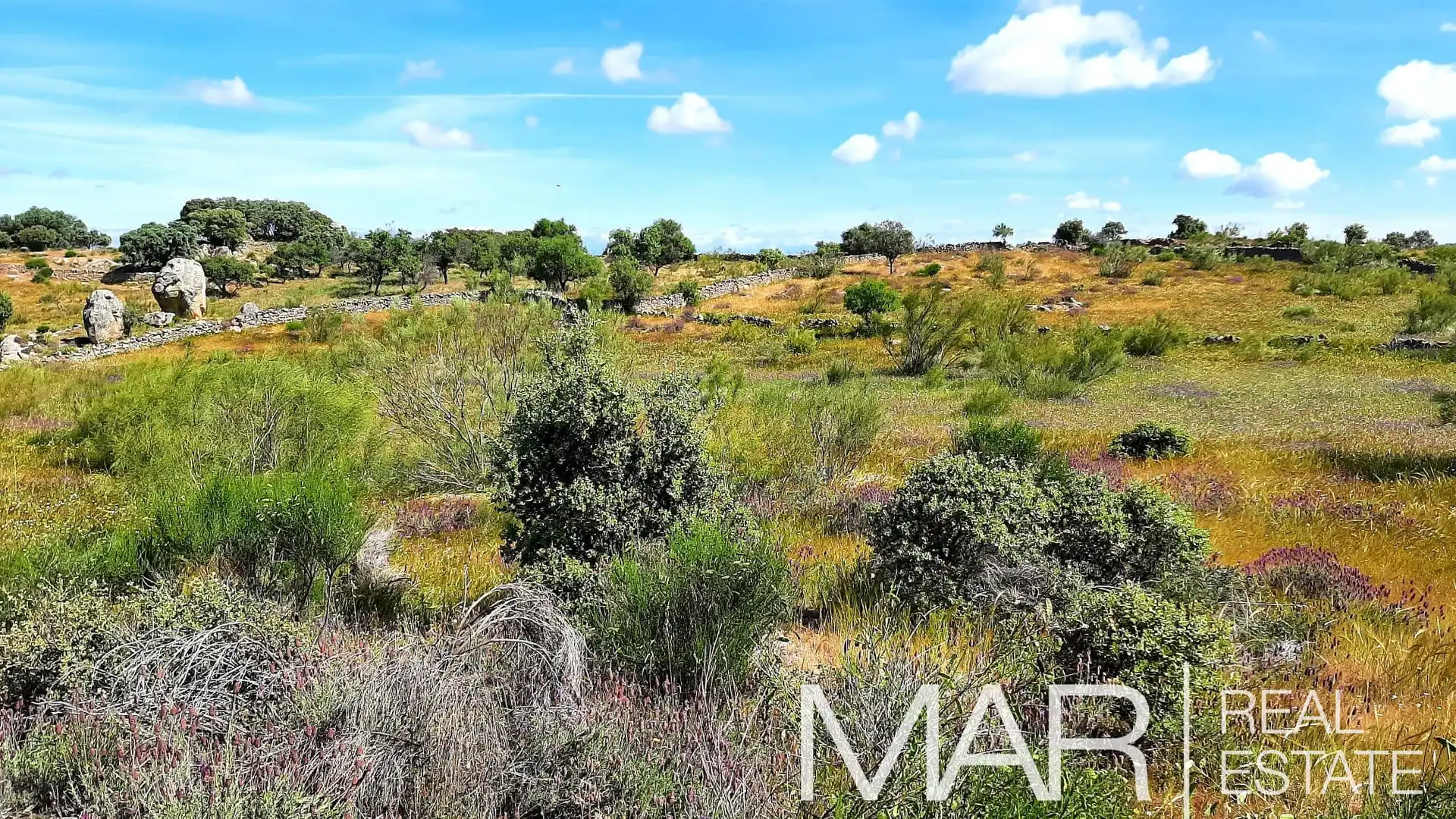 Terreni e lotti in vendita a Villar del Pedroso, imagen 22