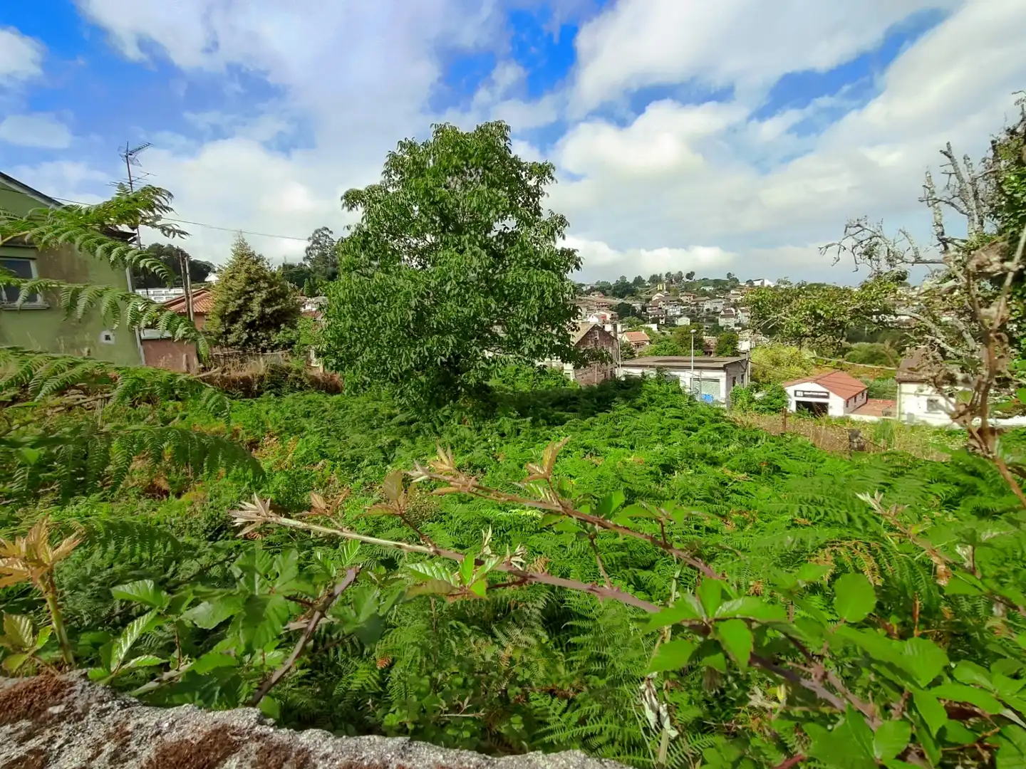 Terreny residencial en venda a Rúa Sardomela, imagen 5